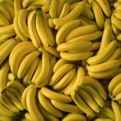 amazonfreebananas-em-86304874-2000-5a276309cf1944349fb55818c98c7b1b